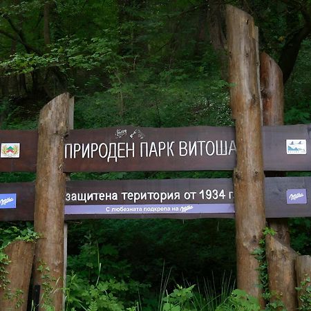Pinus Villas Lodge With Private Jacuzzi & Phyto-Sauna Retreat Zheleznitsa Luaran gambar