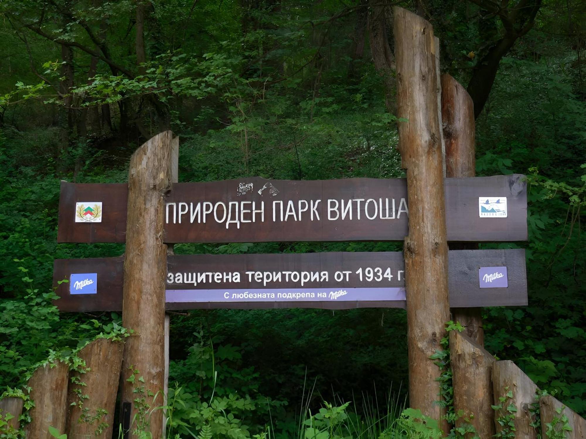 Pinus Villas Lodge With Private Jacuzzi & Phyto-Sauna Retreat Zheleznitsa Luaran gambar